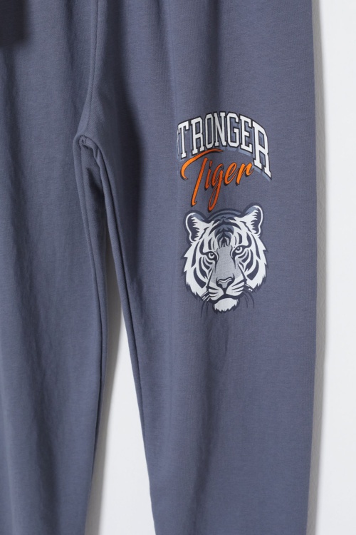 Antrasit Stronger Kaplan Baskılı Erkek Çocuk Yazlık Takım 18023