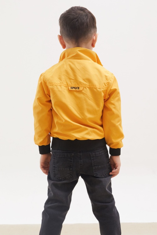 Hardal Palmiye Baskılı Tişörtlü Erkek Çocuk Ceketli 3lü Takım 17700