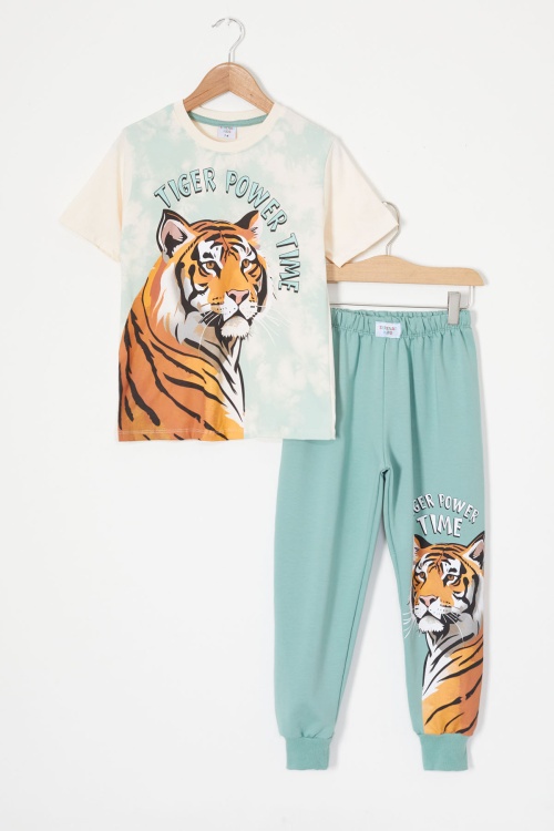 Yeşil Kaplan Baskılı Tişörtlü Erkek Çocuk Takım 18013