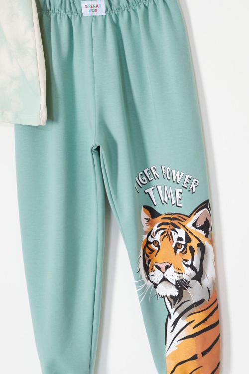 Yeşil Kaplan Baskılı Tişörtlü Erkek Çocuk Takım 18013