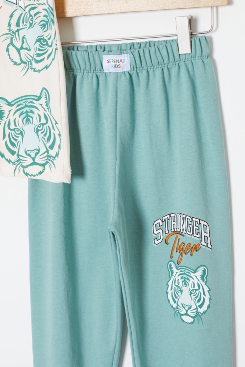 Yeşil Stronger Kaplan Baskılı Erkek Çocuk Yazlık Takım 18024