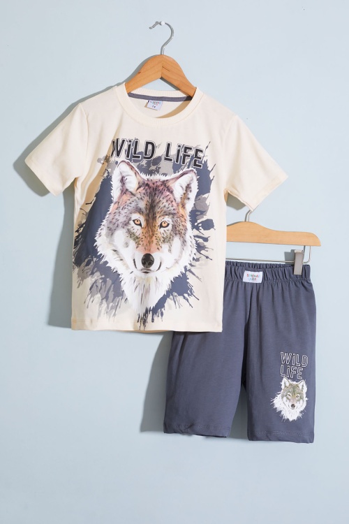 Antrasit Kurt Baskı Bisiklet Yaka Erkek Çocuk Şortlu Takım 18678