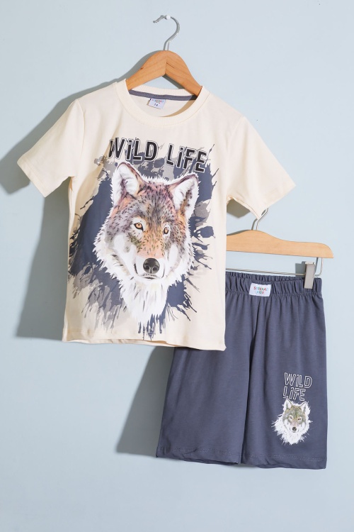 Antrasit Kurt Baskı Bisiklet Yaka Erkek Çocuk Şortlu Takım 18678