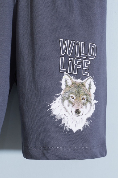 Antrasit Kurt Baskı Bisiklet Yaka Erkek Çocuk Şortlu Takım 18678