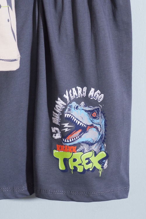 Füme T-rex Baskılı Yazılı Erkek Çocuk Şortlu Takım 18710