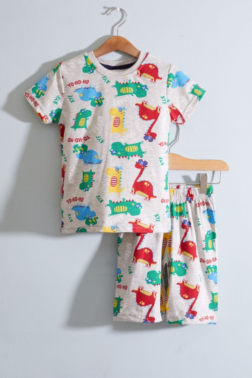 Gri Dino Baskılı Bisiklet Yaka Erkek Çocuk Şortlu Takım 19033