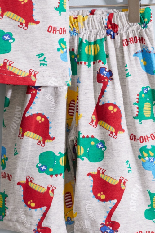 Gri Dino Baskılı Bisiklet Yaka Erkek Çocuk Şortlu Takım 19033