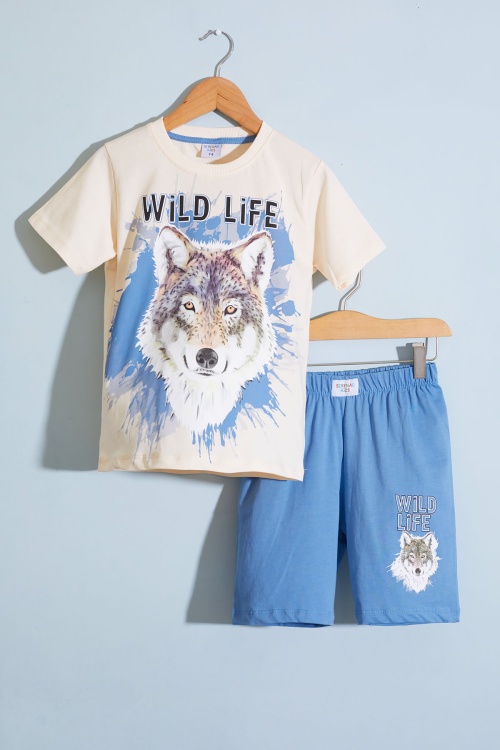 Mavi Kurt Baskı Bisiklet Yaka Erkek Çocuk Şortlu Takım 18680