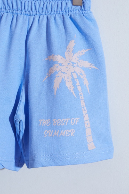 Mavi Palmiye Baskılı Tişörtlü Erkek Çocuk Şortlu Takım 18846