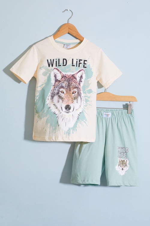 Yeşil Kurt Baskı Bisiklet Yaka Erkek Çocuk Şortlu Takım 18679