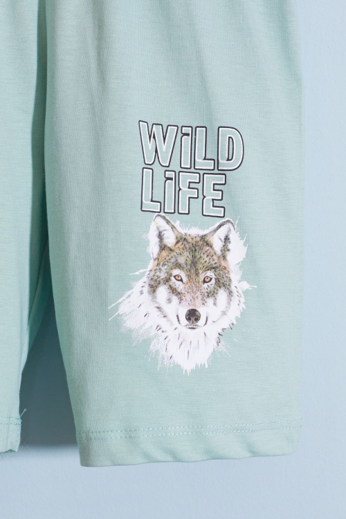 Yeşil Kurt Baskı Bisiklet Yaka Erkek Çocuk Şortlu Takım 18679