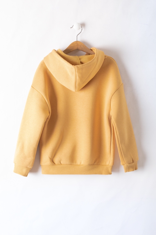 Hardal Erkek Çocuk Baskılı 3 İp Kapüşonlu Sweatshirt 19739