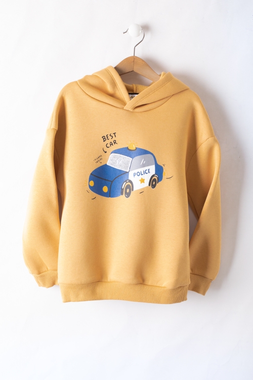 Hardal Erkek Çocuk Baskılı 3 İp Kapüşonlu Sweatshirt 19739