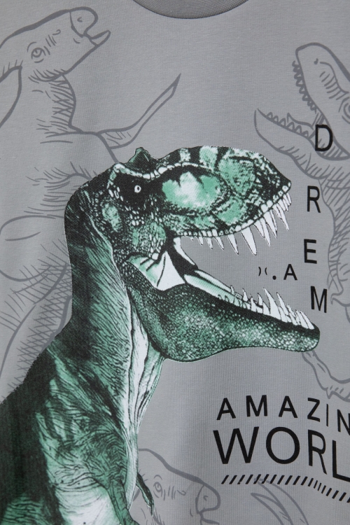 Füme Dinozor Baskılı Bisiklet Yaka Erkek Bebek Tişört 20951