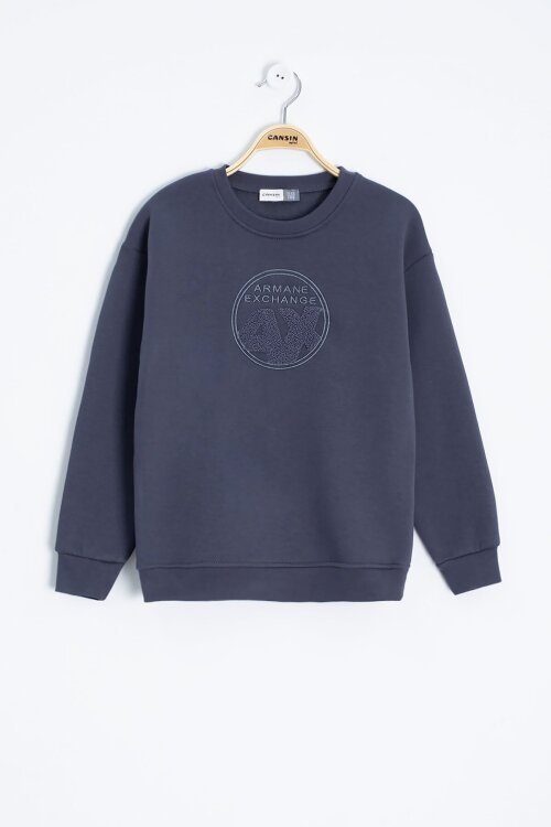 Füme Yazı Nakışlı Bisiklet Yaka Erkek Çocuk Şardonlu Sweatshirt 23249
