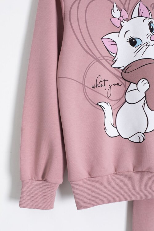 Gül Kurusu Sevimli Kedi Baskılı Kız Çocuk Eşofman Takımı 22761