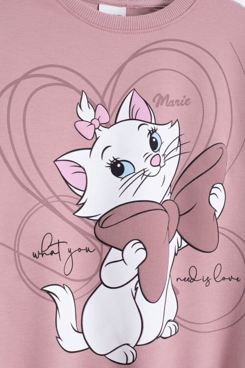 Gül Kurusu Sevimli Kedi Baskılı Kız Çocuk Eşofman Takımı 22761