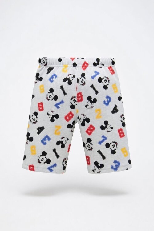 Erkek Çocuk Gri Fare Baskı 2-8 Yaş Kapri 5029