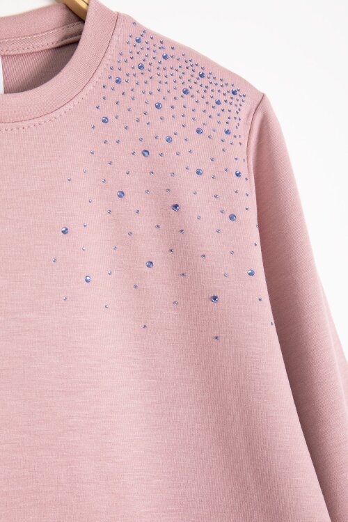 Gül Kurusu Çizgi Desenli Taş Detaylı Bluzlu Kız Çocuk Kuşaklı Pantolonlu 2li Takım 23747