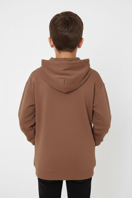 Kahverengi Baskılı Erkek Çocuk Şeritli Kapüşonlu Sweatshirt 19218