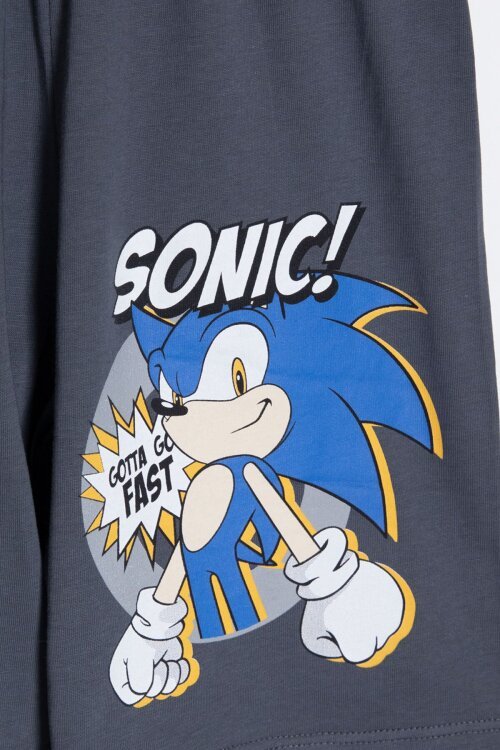Füme Kirpi Sonic Baskılı Erkek Çocuk Tişörtlü Şortlu 2li Takım 23978