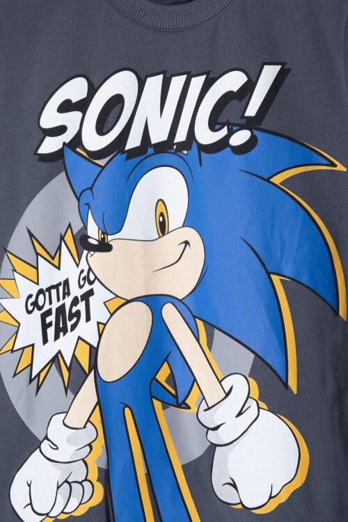 Füme Kirpi Sonic Baskılı Erkek Çocuk Tişörtlü Şortlu 2li Takım 23978