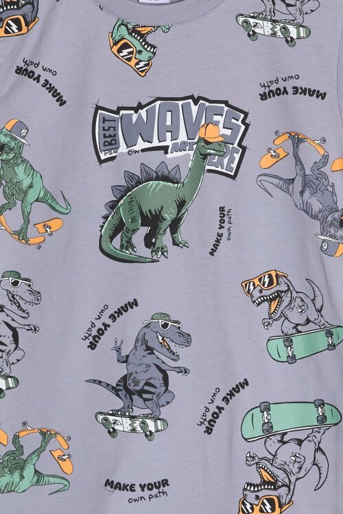 Gri Dinozor Desenli Bisiklet Yaka Erkek Çocuk 2li Şortlu Takım 23925
