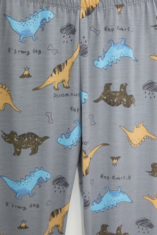Gri Dinozor Desenli Düğmeli Erkek Çocuk Kısa Kol Pijama Takımı 23822