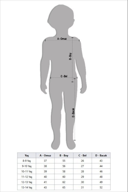 Gri Kabartmalı Yazılı Tişörtlü Desenli Şortlu Erkek Çocuk 2li Takım  23815