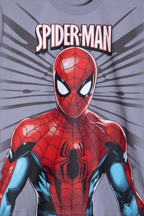 Gri Örümcek Adam Temalı Tişörtlü Şortlu Erkek Çocuk 2li Takım  23960