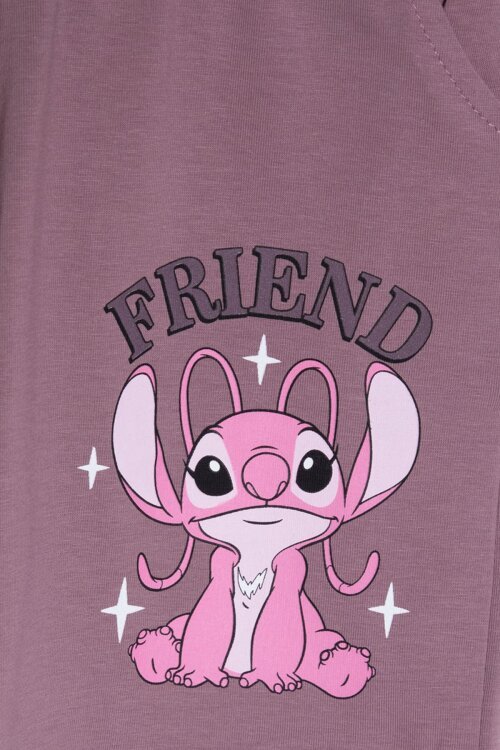 Gül Kurusu Çizgili Karakter Baskılı Fırfırlı Kız Çocuk Şortlu 2li Takım  23957