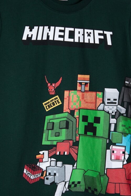 Yeşil Erkek Çocuk Oyun Karakter Baskılı Şortlu 2li Takım  23985