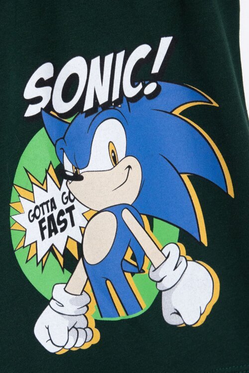 Yeşil Kirpi Sonic Baskılı Erkek Çocuk Tişörtlü Şortlu 2li Takım 23974