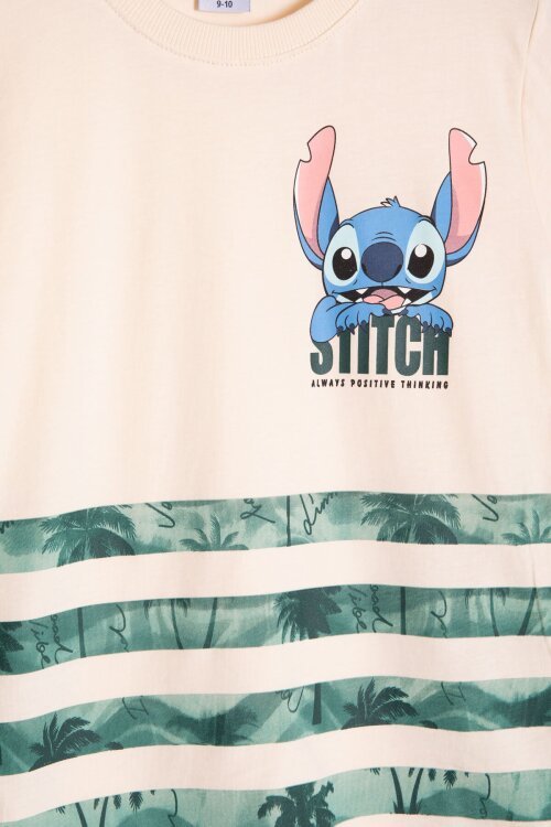 Yeşil Palmiye Desenli Çizgili Tişörtlü Erkek Çocuk Şortlu 2li Takım 23930