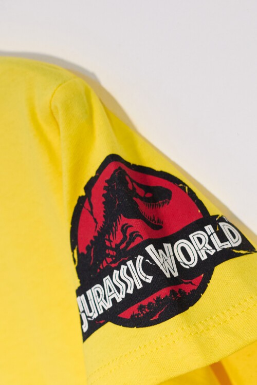 Erkek Çocuk Sarı 1-7 Yaş Kadife Dinozor Baskı T-Shirt 12272