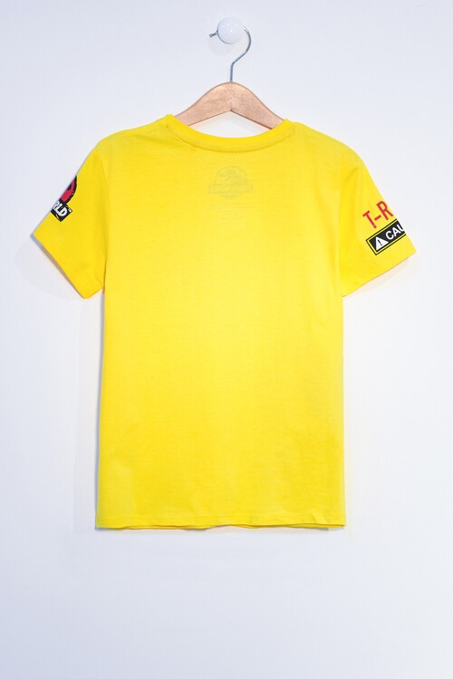 Erkek Çocuk Sarı 1-7 Yaş Kadife Dinozor Baskı T-Shirt 12272