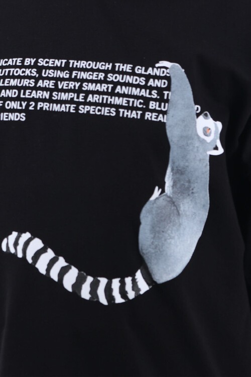 Kız Çocuk Kapşonlu Kaprili Takım 10-15 Yaş 13949