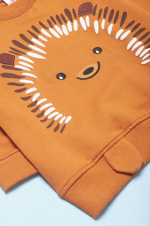 Erkek Bebek Kirpi Baskılı Eşofman Takımı 14551