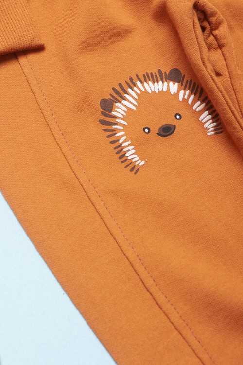 Erkek Bebek Kirpi Baskılı Eşofman Takımı 14551