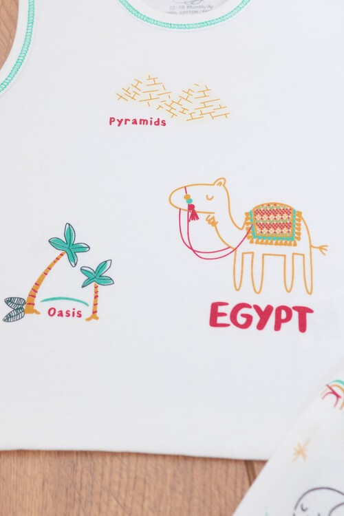 Erkek Bebek Piramit Baskılı Sıfır Kollu Takım 14553