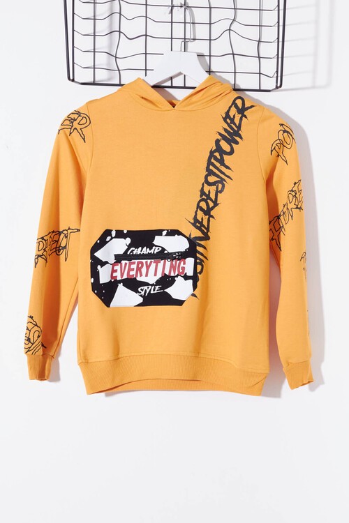 Erkek Çocuk Everything Baskılı Kapşonlu Sweatshirt 14017