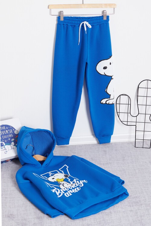 Erkek Çocuk Karakter Baskılı Kapüşonlu Polarlı Eşofman Takımı 14614