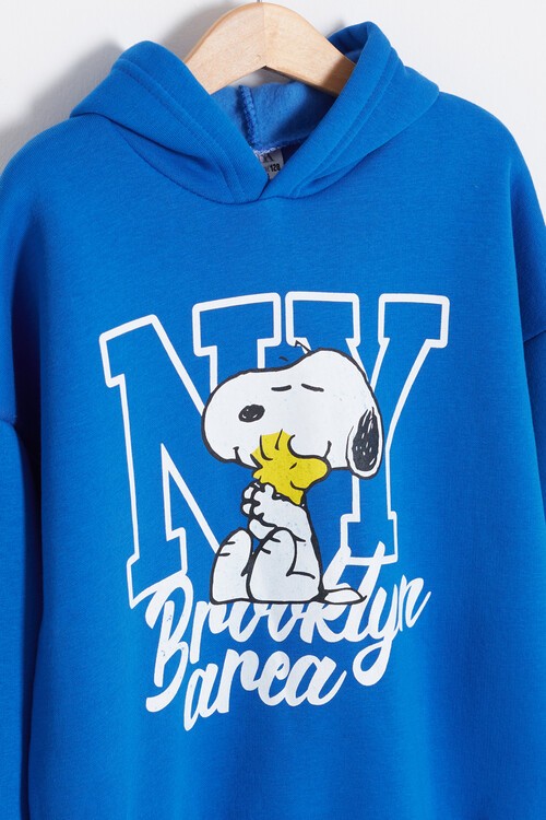 Erkek Çocuk Karakter Baskılı Kapüşonlu Polarlı Eşofman Takımı 14614