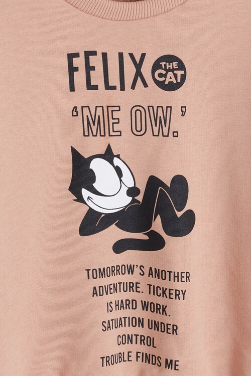 Erkek Çocuk Kedi Baskılı Lastikli Eşofman Takımı 14615