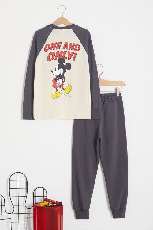 Çizgi Karakterli Sırtı Baskılı Erkek Çocuk Eşofman Takımı 15048