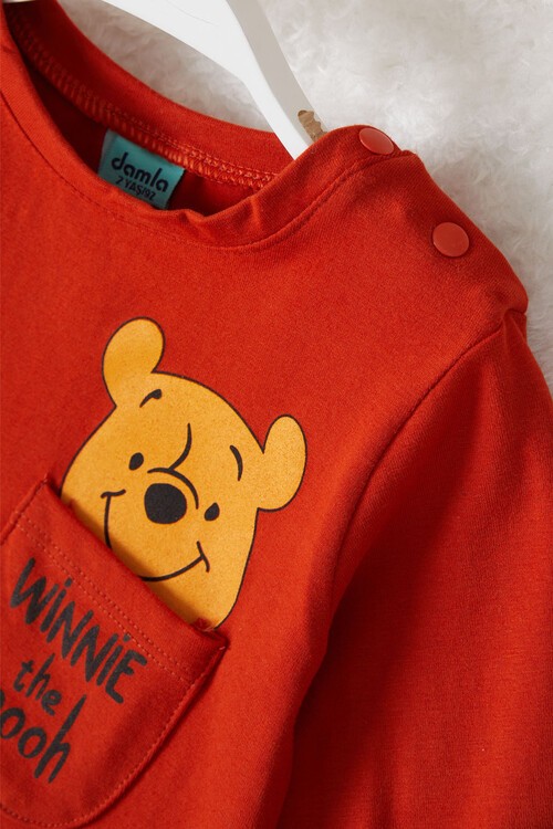 Ayı Winnie The Pooh Erkek Bebek  Eşofman Takımı 14996