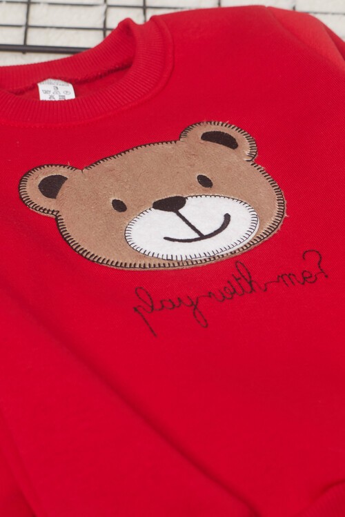 Erkek Çocuk Ayıcık Nakışlı Eşofman Takımı 14640