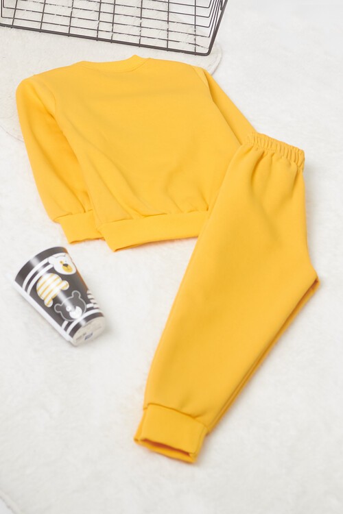 Erkek Çocuk Ayıcık Nakışlı Eşofman Takımı 14640