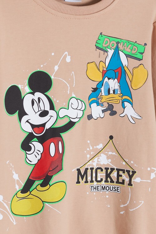 Erkek Çocuk Çizgi Karakter Baskılı Eşofman Takımı 14634