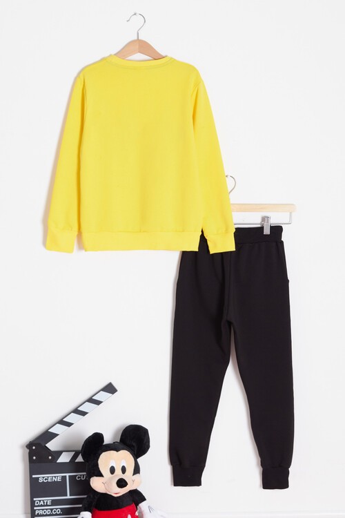 Erkek Çocuk Çizgi Karakter Baskılı Eşofman Takımı 14634